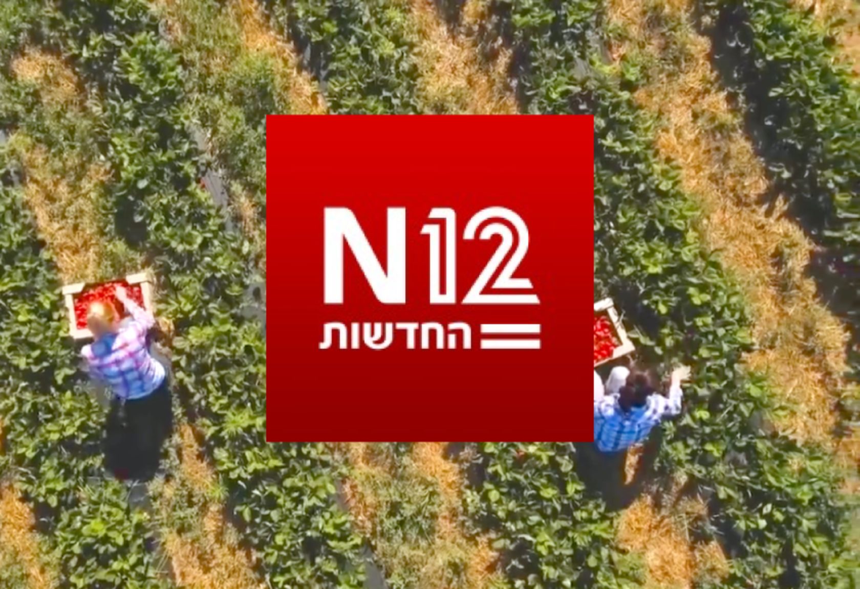 Wiliot Featured on Israel's Prime Time TV - Channel 12 News